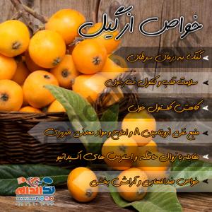 خواص ازگیل